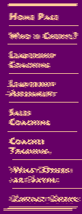Navigation Bar